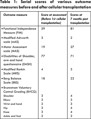 Functional Independence Measure Pdf